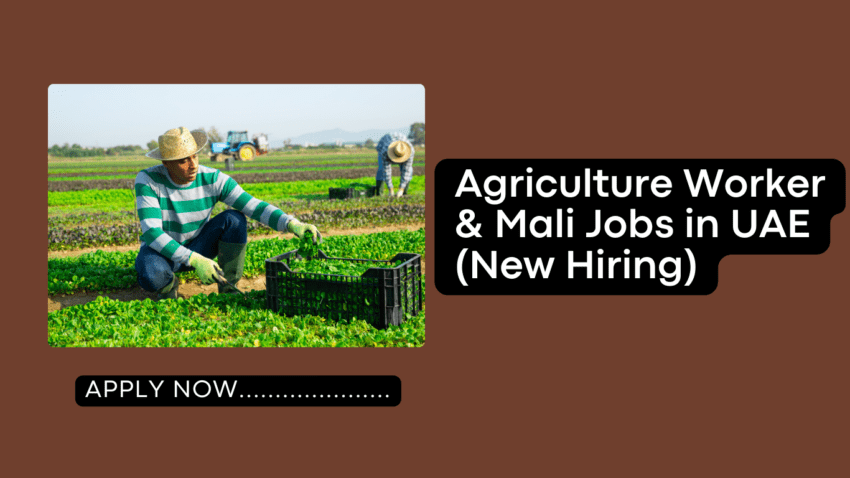 Agriculture Worker & Mali Jobs in UAE